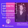 The Secrets of Success artwork