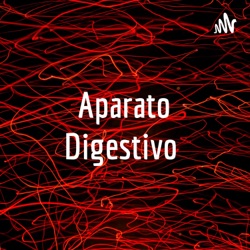 El aparato digestivo