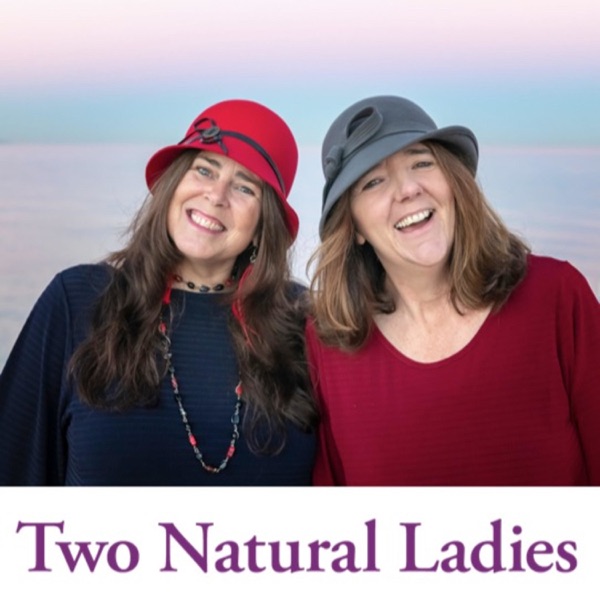 Two Natural Ladies Conversations Artwork