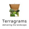 Terragrams artwork