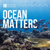 Ocean Matters - The Bertarelli Foundation