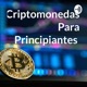 Criptomonedas Para Principiantes 