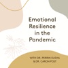 Emotional Resilience in the Pandemic artwork