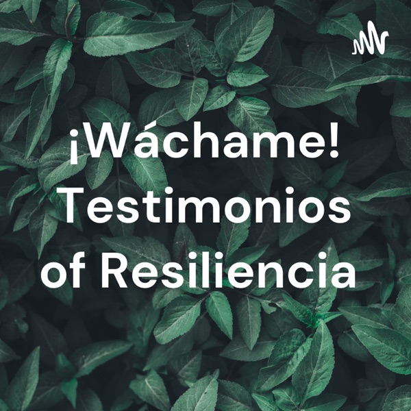 Artwork for ¡Wáchame! Testimonios of Resiliencia