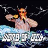 Word of Josh artwork