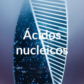 Ácidos nucleicos - Júlia Citolino