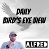 Daily Bird's Eye View artwork