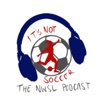 The Women's Soccer Show artwork