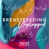Breastfeeding Unplugged artwork