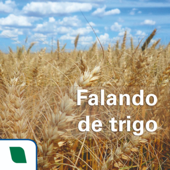 Falando de trigo - Embrapa Trigo