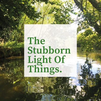 The Stubborn Light of Things The Stubborn Light of Things