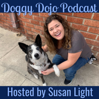 Exploring Extinction with Susan Friedman, PhD