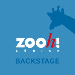 Zoo Zürich Backstage