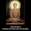 Daily Wisdom - Walking The Path with The Buddha artwork