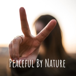 Become more prone to be at Peace, Make a Plan: Peace Practice Day 18