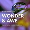 Wonder And Awe artwork