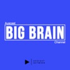 Big Brain Channel artwork