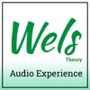Wels Theory - Audio Experience artwork