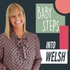 Baby Steps Into Welsh artwork