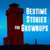 Bedtime Stories For Grownups artwork