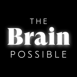 The Brain Possible