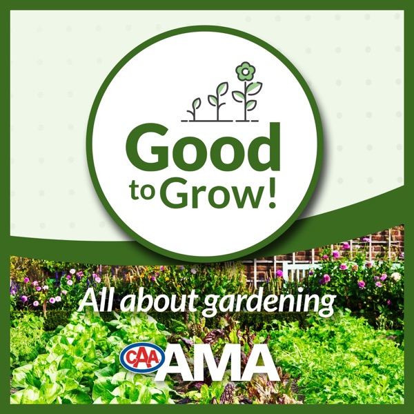 AMA Good to Grow