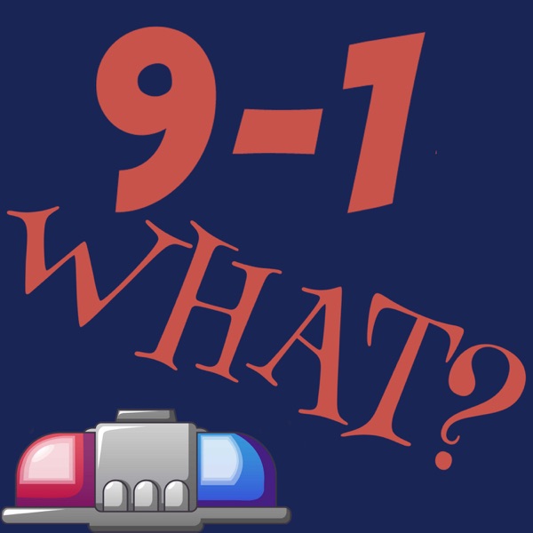 91WHAT? Podcast (9-1-WHAT?) Artwork