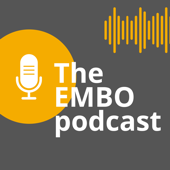 The EMBO podcast - EMBO