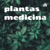 plantas medicinales - Arantzazu Urquiza