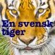 En Svensk Tiger: En podcast om modernhistoria.