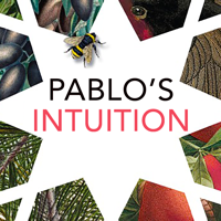 Pablo’s Intuition: The story of a young Spaniard’s awakening to his inner voice podcast