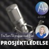 Prosjektledelse - fra teori til praksis med Elin