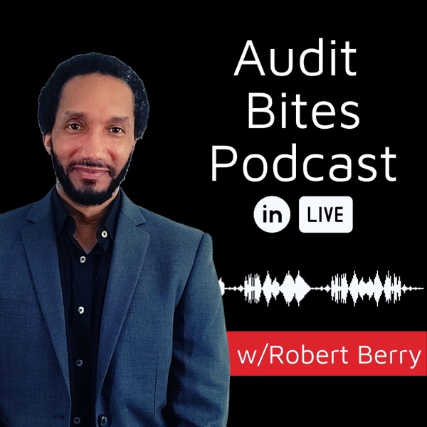 Audit Bites