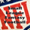 Small League Fantasy Football artwork