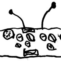 Spare the Rock, Spoil the Child radio feed podcast