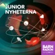 Juniornyheterna 2022-10-04 kl. 17.34