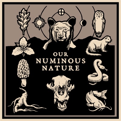 Our Numinous Nature Our Numinous Nature