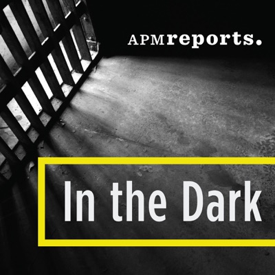 In the Dark In the Dark