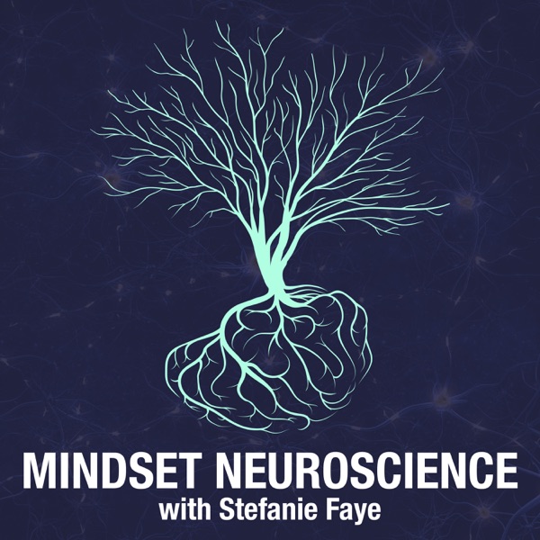 Artwork for Mindset Neuroscience Podcast