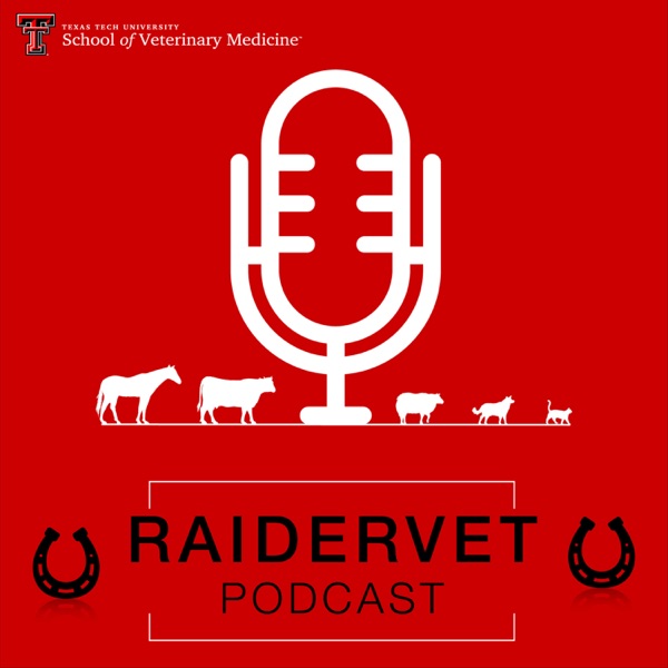 RaiderVet Podcast