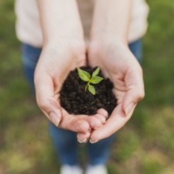 Sustentabilidade na Veia