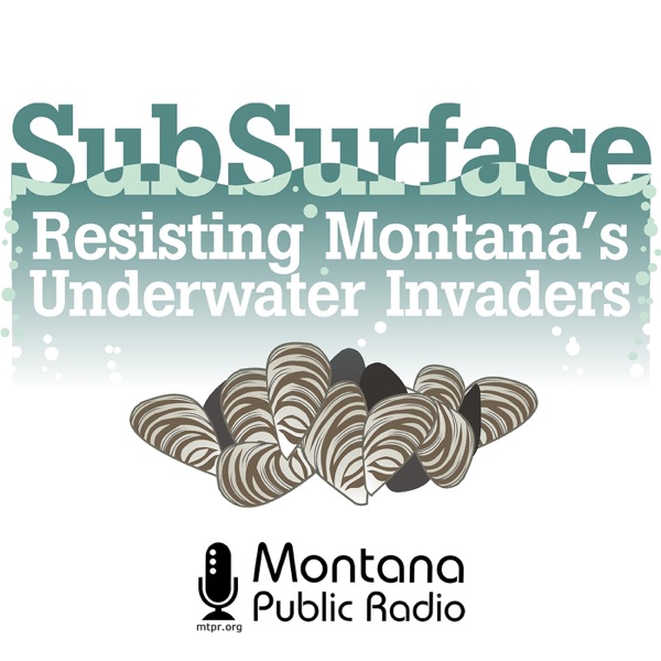 SubSurface: Resisting Montana's Underwater Invaders Artwork
