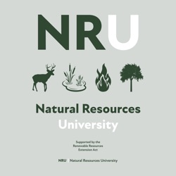 Fire-fueling fungi | Fire University #273