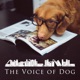 The Voice of Dog