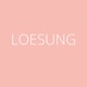 LOESUNG