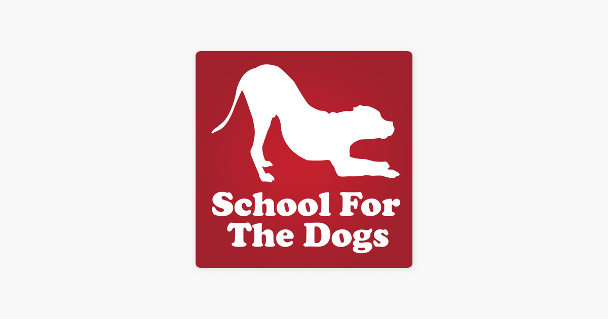 why dogs should go to school