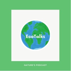 Introducing EcoTalks