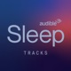 Audible Sleep Tracks