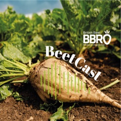 BeetCast February: Getting to grips with a harvester