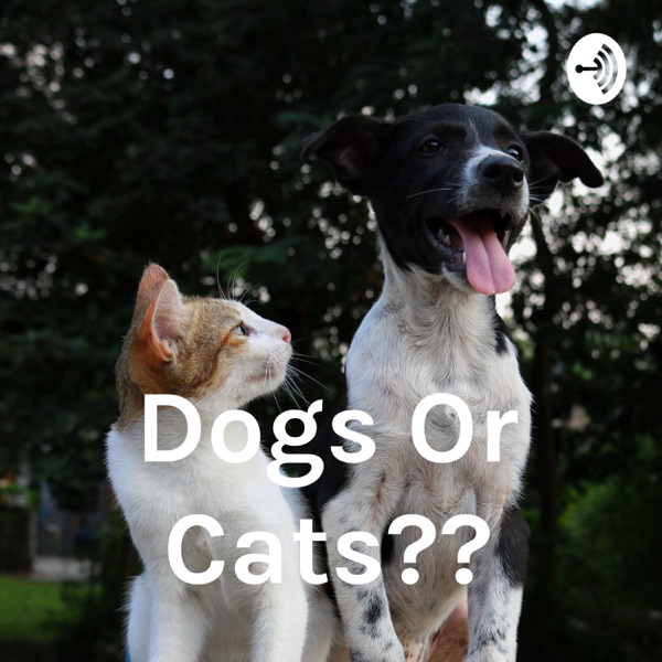 Dogs Or Cats?? Artwork